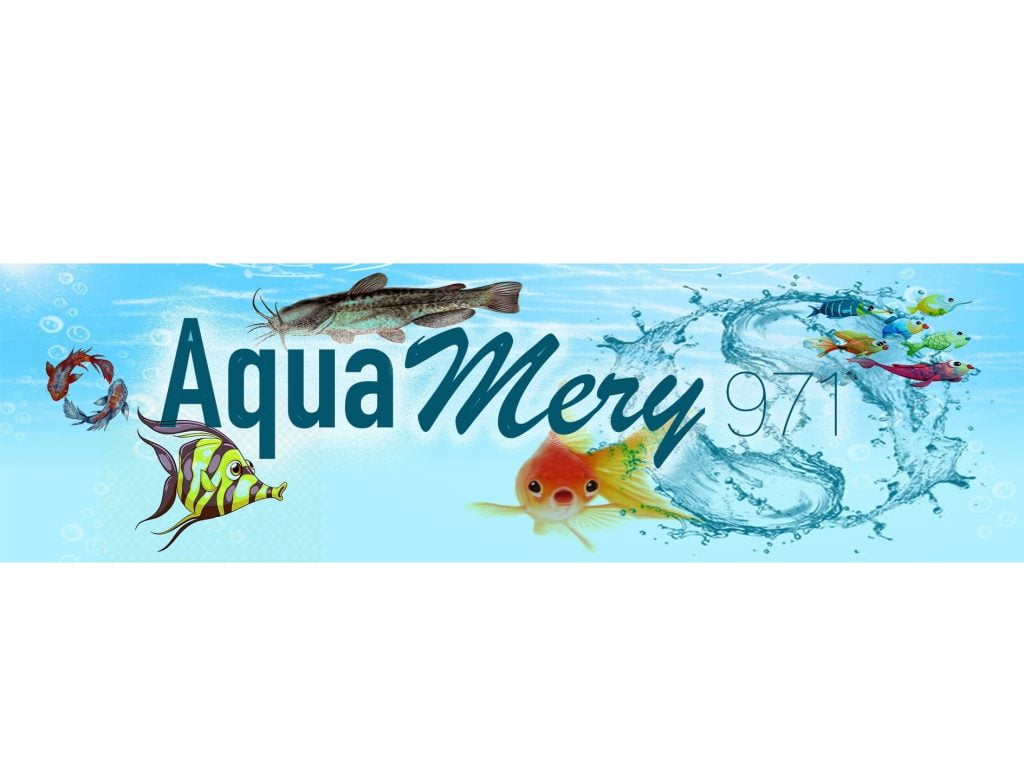 Aquamery